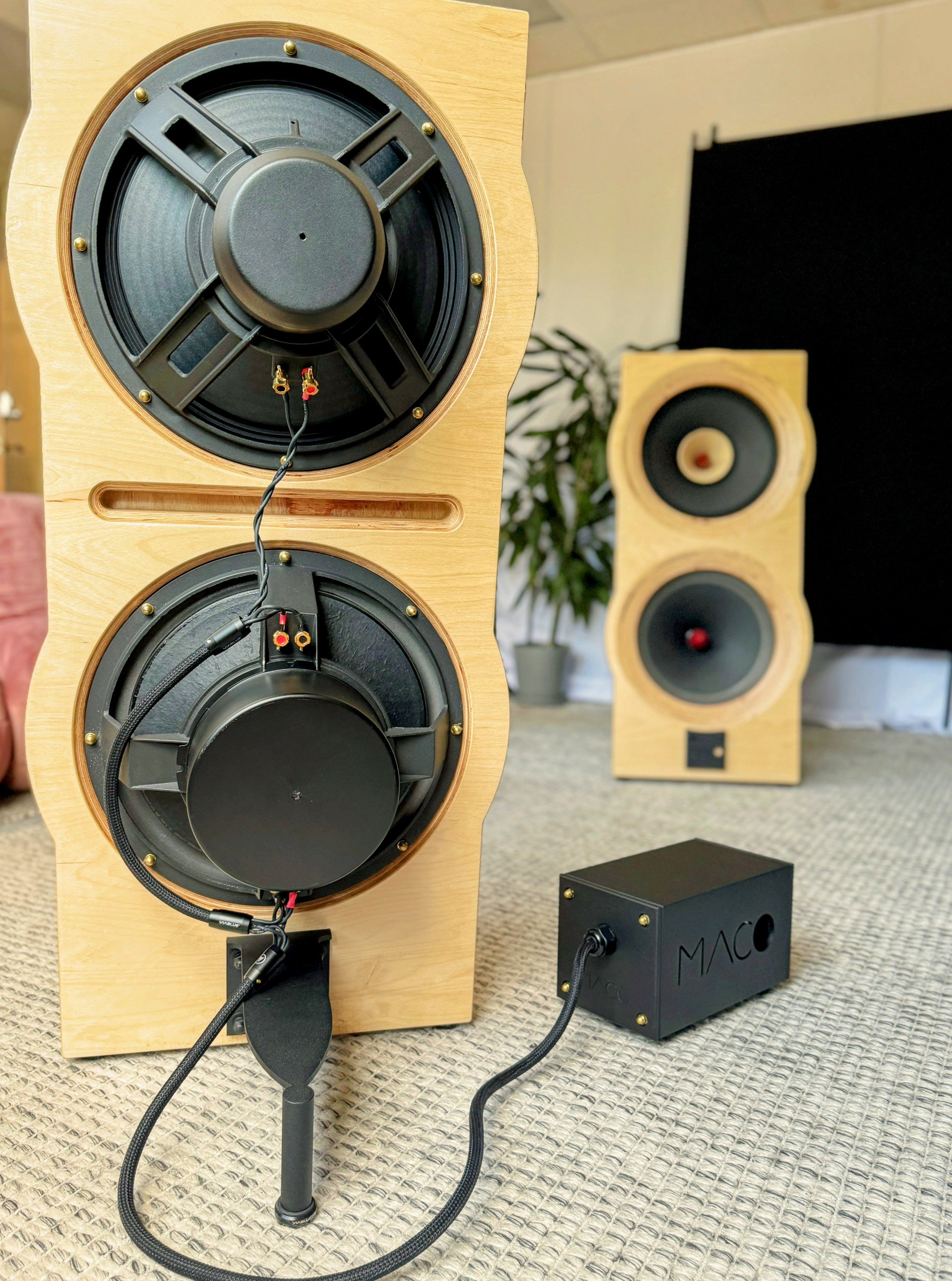 MACO MACARIA at Madly Audio Canada