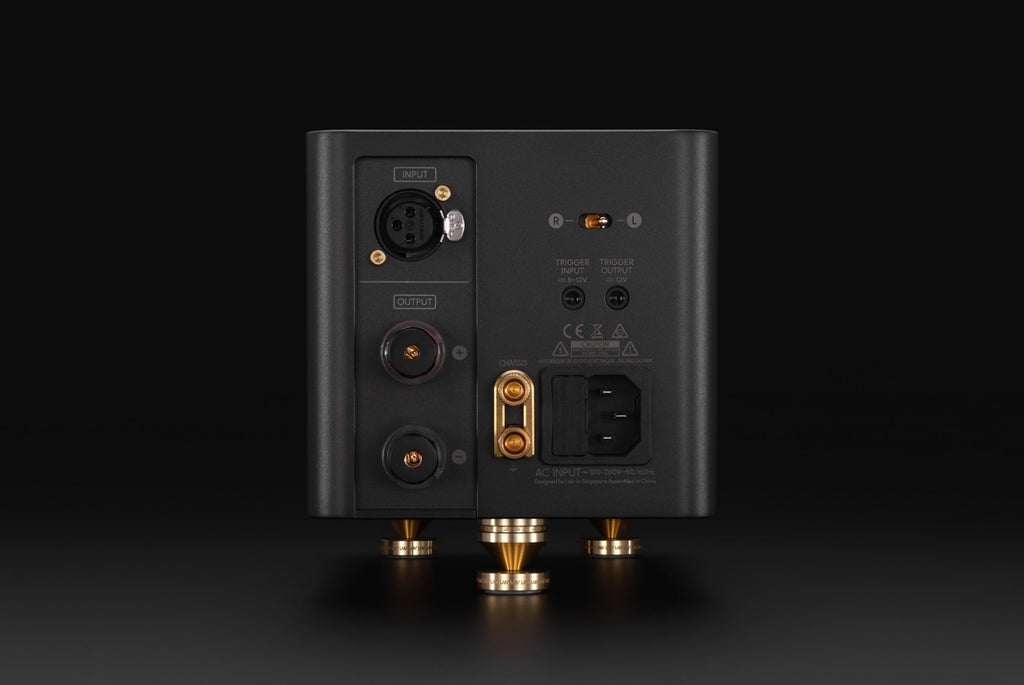 LAiV Harmony GaNM Monoblock Power Amplifiers (1 Pair)