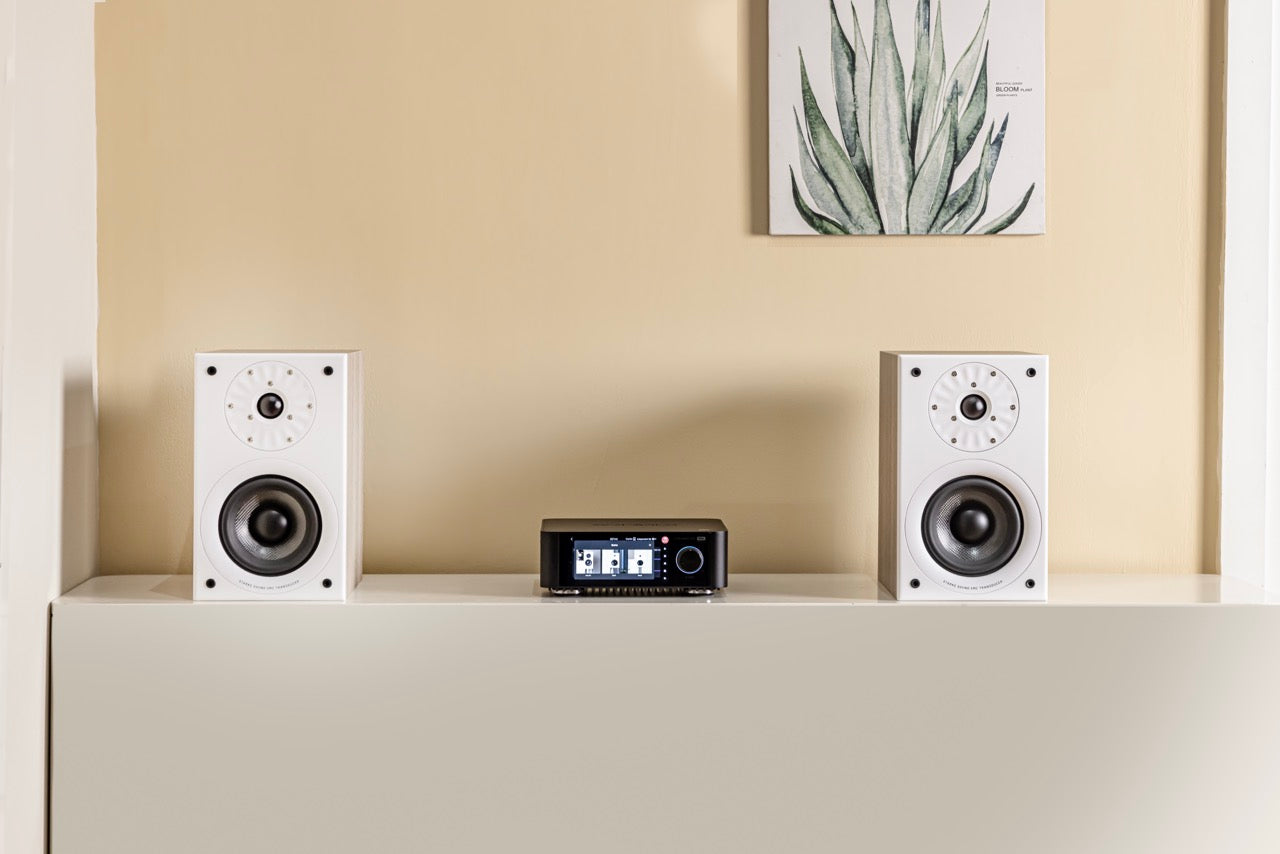 Starke Sound at Madly Audio Canada